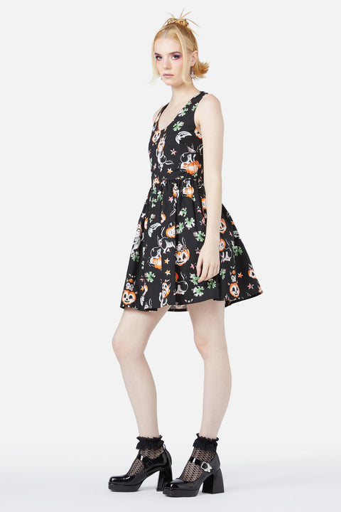 Pumpalappsklänning för kattunge-3